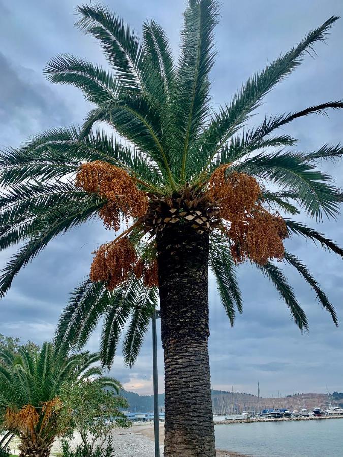 Apartman Ana Zeleni Pojas Bar Exterior foto